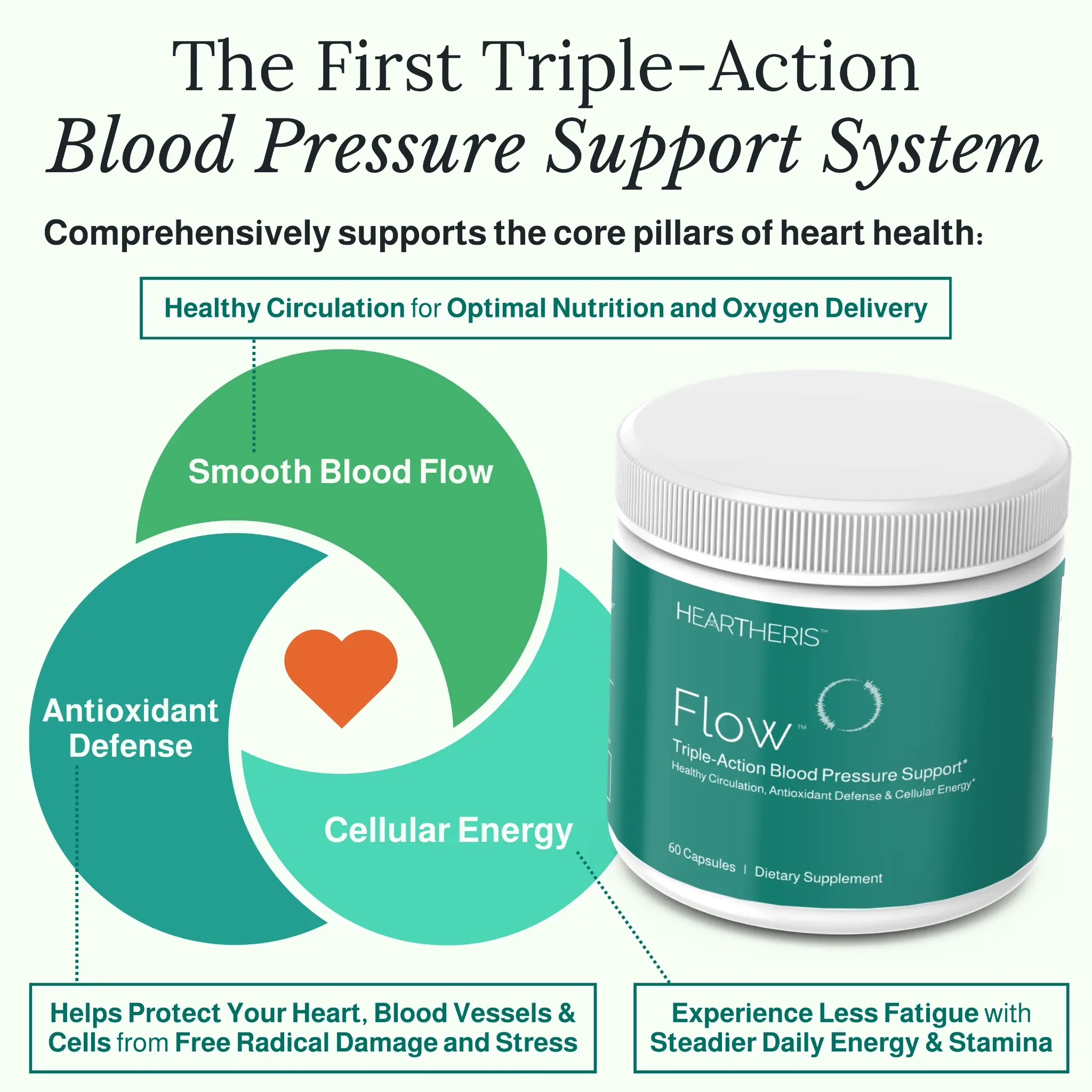 Flow™ Triple-Action Blood Pressure Support System